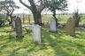 A great deal of damage was done a few years ago when a beech toppled over narrowly missing the church but decimating some memorials.
